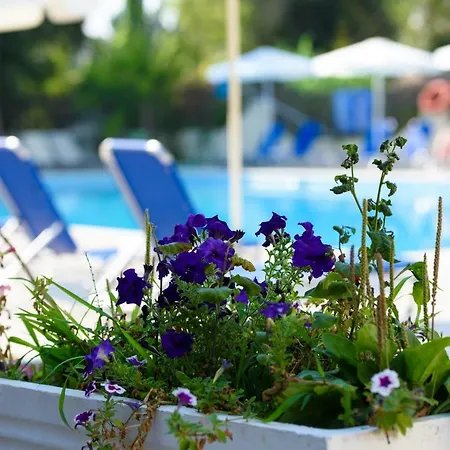 Hotel Amalia - Adults Only Dassia (Corfu)
